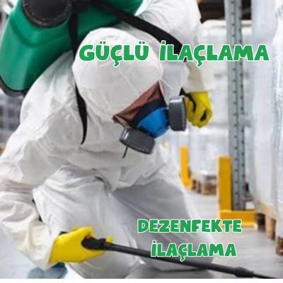 Dezenfekte İlaçlama