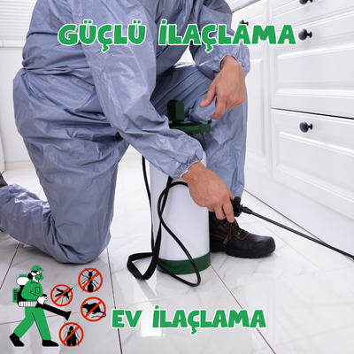 Ankara BEYPAZARI KOZAĞAÇ Mahallesi. Ev İlaçlama 0542 188 45 42