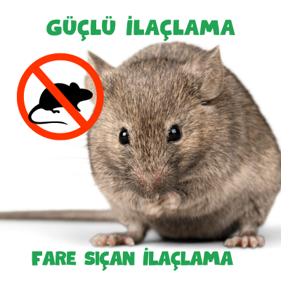 Çorum Alaca Fare Sıçan İlaçlama 0542 188 45 42