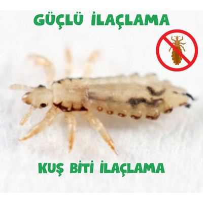 Kuş Biti İlaçlama