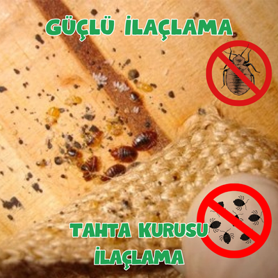   Tahta Kurusu İlaçlama 0542 188 45 42