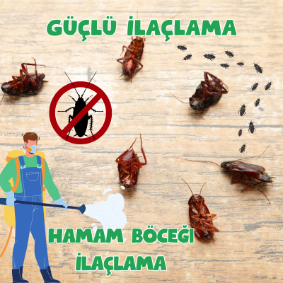 Hamam Böceği İlaçlama