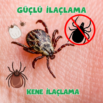 Kene İlaçlama