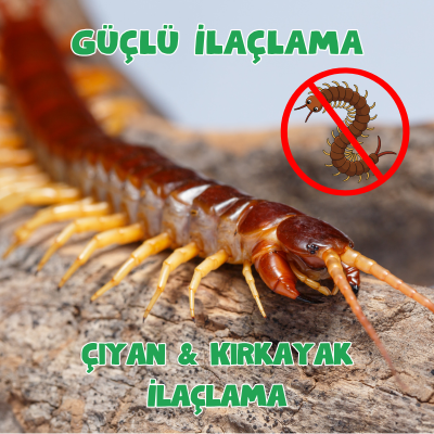 Çıyan & Kırkayak İlaçlama