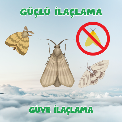 Nevşehir Hacıbektaş Güve İlaçlama 0542 188 45 42