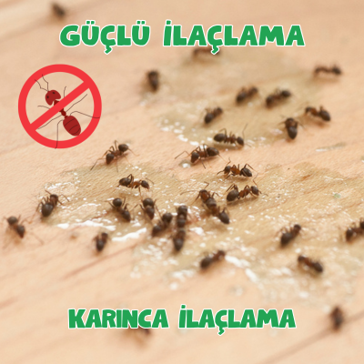 Karınca İlaçlama