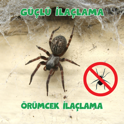 Örümcek İlaçlama