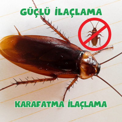 Karafatma İlaçlama