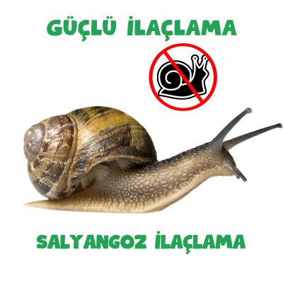 Salyangoz İlaçlama